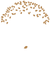 Jardin Idéal par Maxime Rodrique